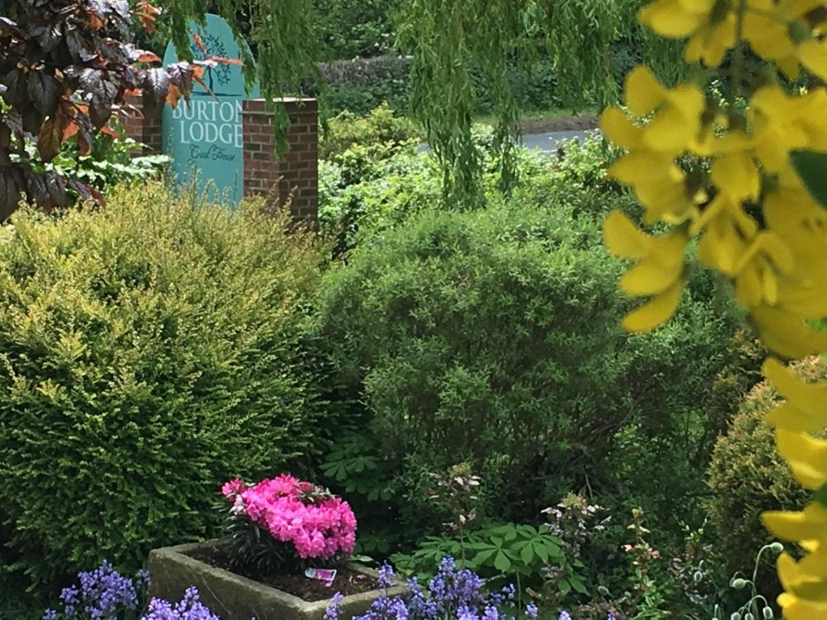 Guest house Burton &